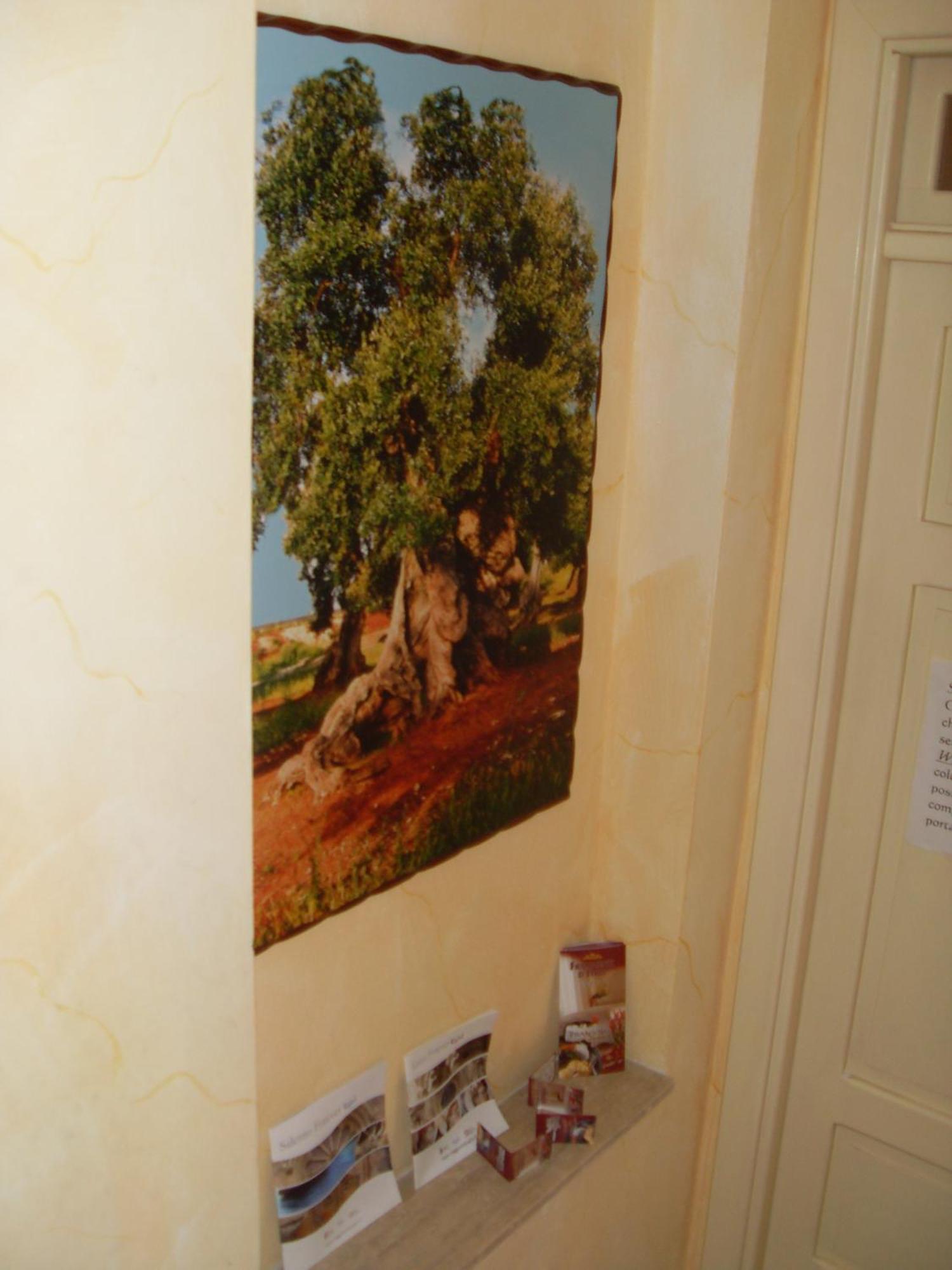B&B Frammenti D'Itria Ceglie Messapica Ngoại thất bức ảnh